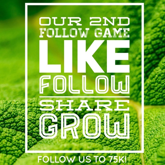 Follow Game Other - CLOSED⚜️Follow Game #2 - WE DID IT!!⚜️Join Game #3